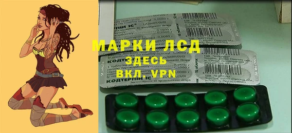 ГАЛЛЮЦИНОГЕННЫЕ ГРИБЫ Чердынь