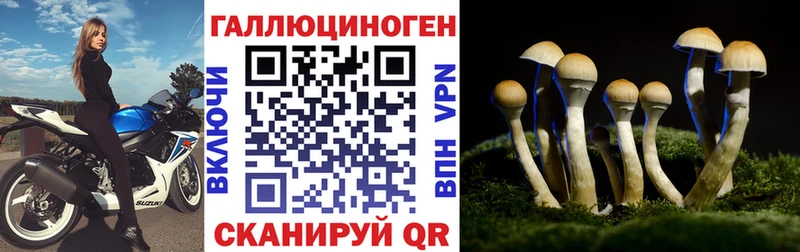 Псилоцибиновые грибы MAGIC MUSHROOMS  mega онион  Скопин 